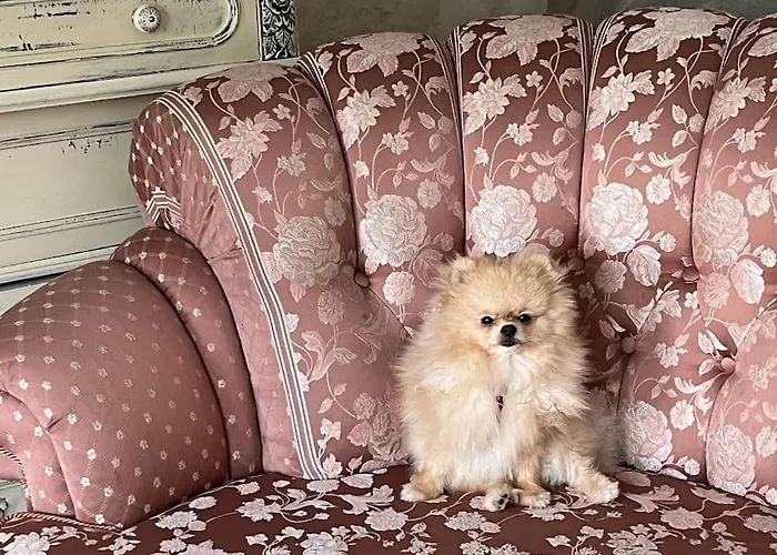 Ellie Soe Free Parking 5 Min To Metro * Σόφια