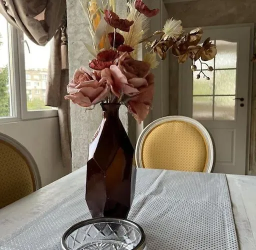 Ellie Soe Free Parking 5 Min To Metro